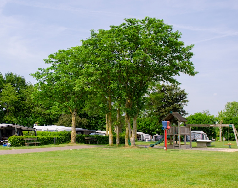 Groene Camping Oisterwijk